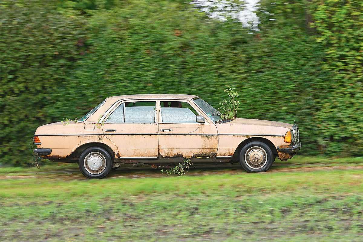 mercedes-w123-barn (12)