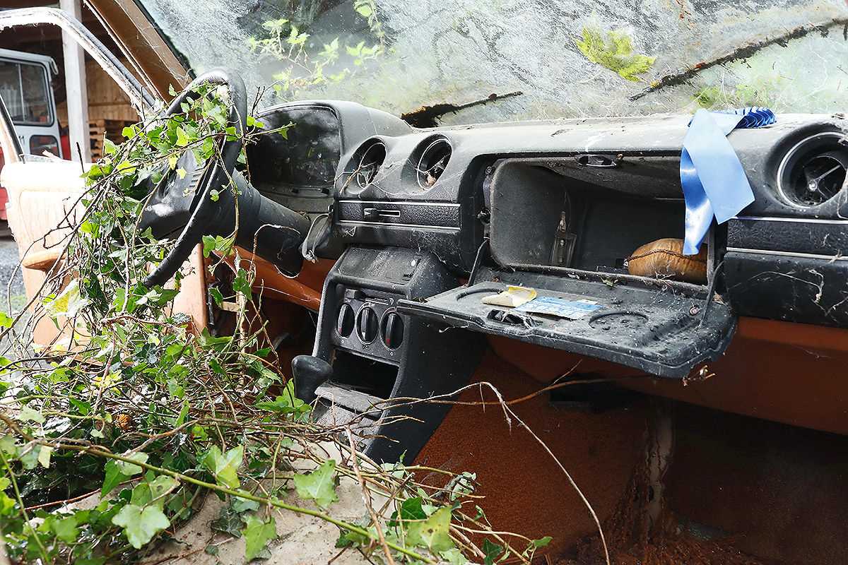 mercedes-w123-barn (3)