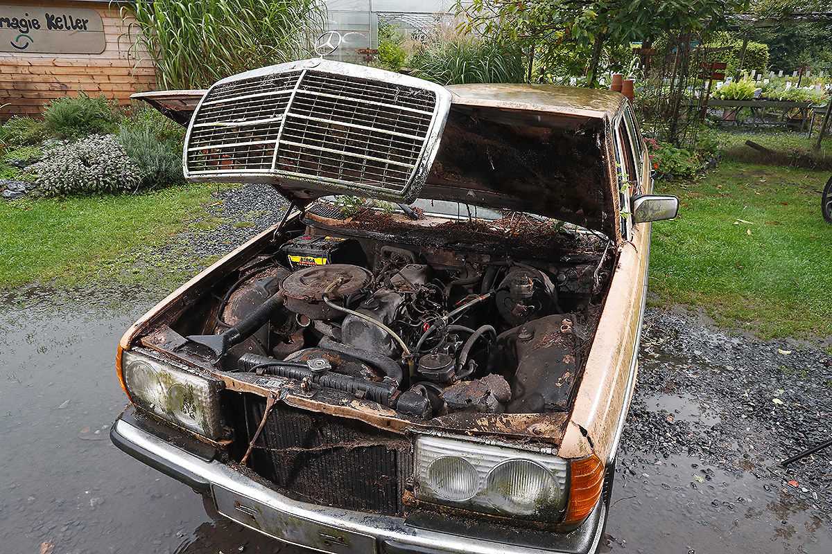 mercedes-w123-barn (5)