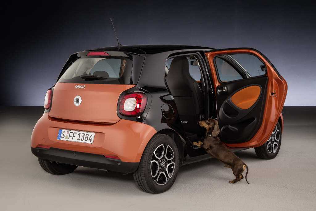 smart fordogs 2