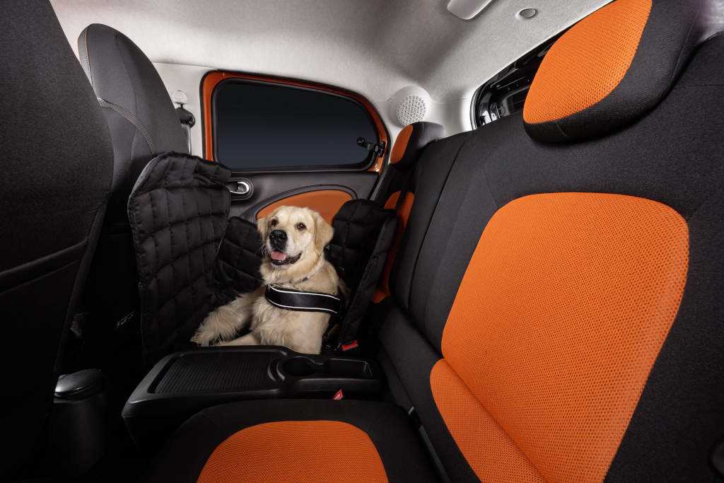 smart fordogs 3